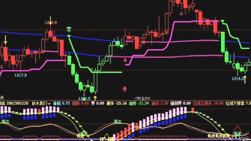 博易大師指標公式自動提示買賣點的期貨指標育龍指標公式網