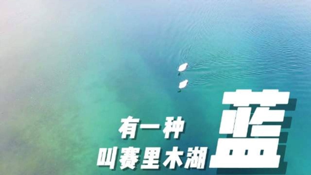 新疆赛里木湖:有一种蓝,叫赛里木湖蓝