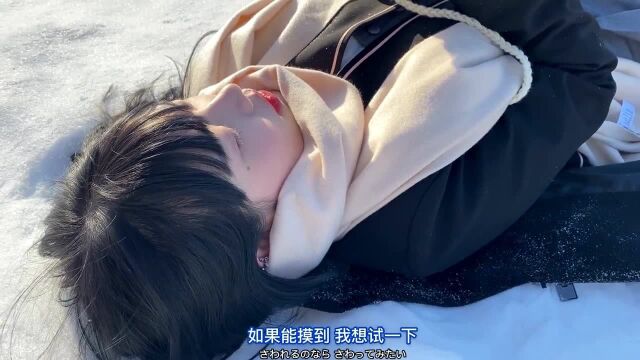 洁白的雪花漫无边际地从无色透明的天空飘落,美得无法言说