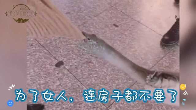 搞笑:为了女人,连房子嗯不要了