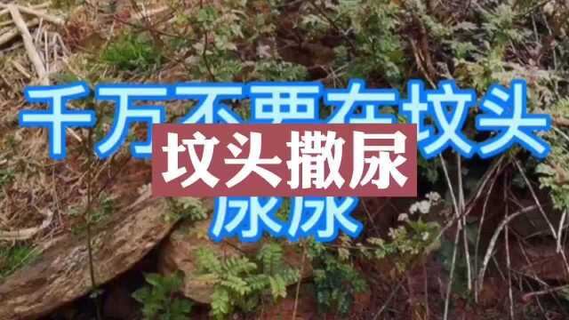 民间故事  坟头撒尿 (灵异版)