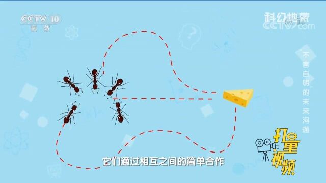 科学家发现用集群智能进行沟通更高速,那啥是集群智能