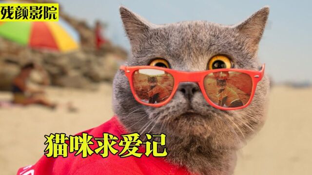 猫咪求爱记:为了追心仪的母猫,励志当救生员!#电影HOT短视频大赛 第二阶段#