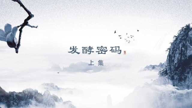 《大师的味道》第一集:《发酵密码》(上) 简介:五十余年专心为茶,红碎茶技术全国首创,并获得国务院特殊津贴,一位茶科学界巨匠,中国茶叶发酵...