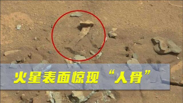 好奇号发回珍贵照片,火星表面惊现“人骨”:火星人真的存在?