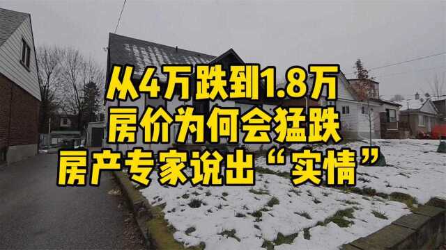 从4万跌到1.8万,房价为何会猛跌?房产专家说出“实情”