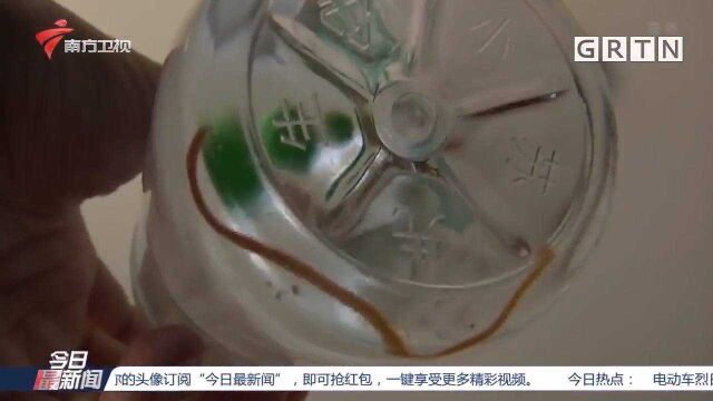 家中频现水蚯蚓,究竟是什么原因造成的?专家解答|今日最新闻