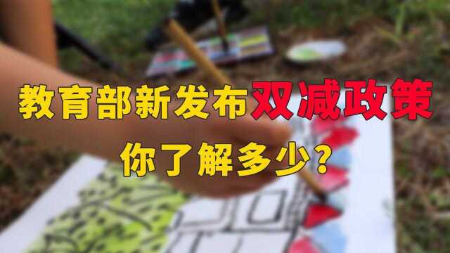 100秒视频 带你速解教育部新发布“双减政策”!