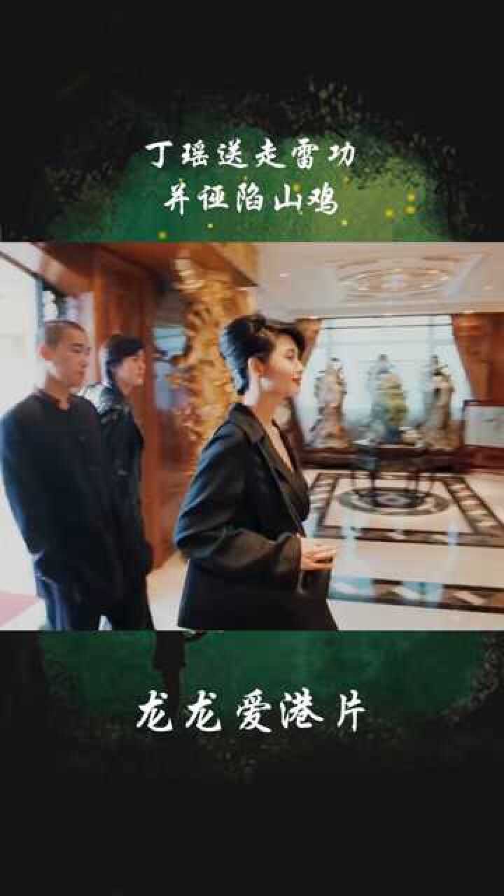丁瑶送走雷功，诬陷山鸡#港片 #古惑仔_腾讯视频