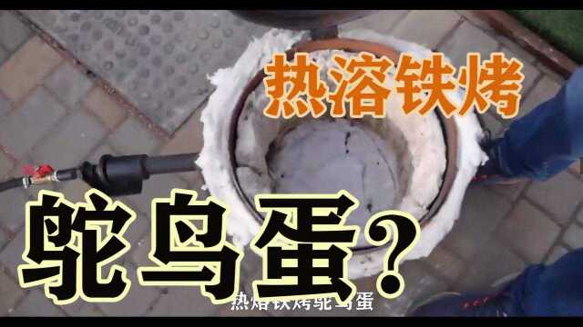 热熔铁烤鸵鸟蛋?#“知识抢先知”征稿大赛#