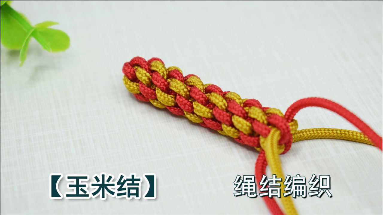 【绳结教程】中国结之玉米结编织方法,象征着结结高升金玉满堂!_高清1080P在线观看平台_腾讯视频