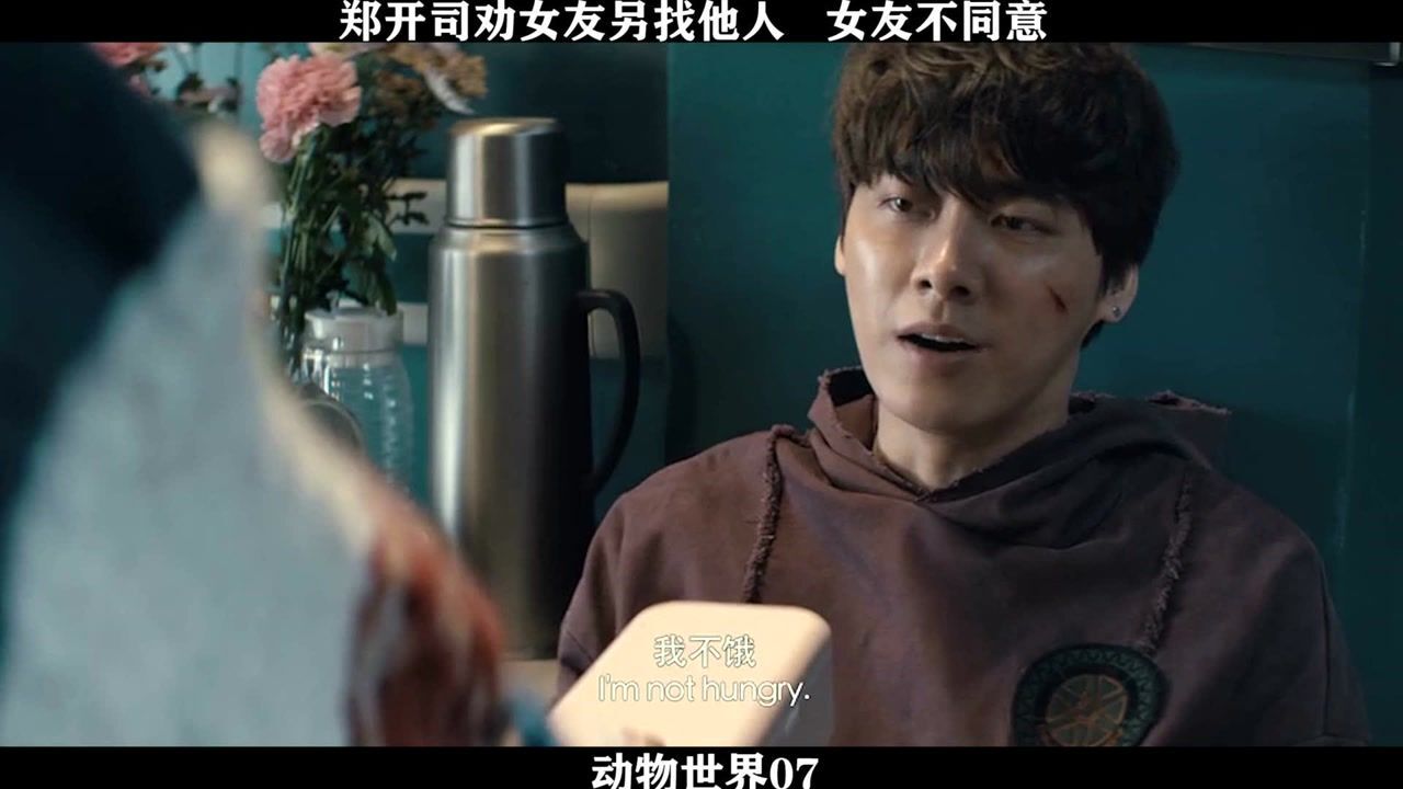 动物世界-07,郑开司劝女友另找他人,女友不同意_高清1080P在线观看平台_腾讯视频