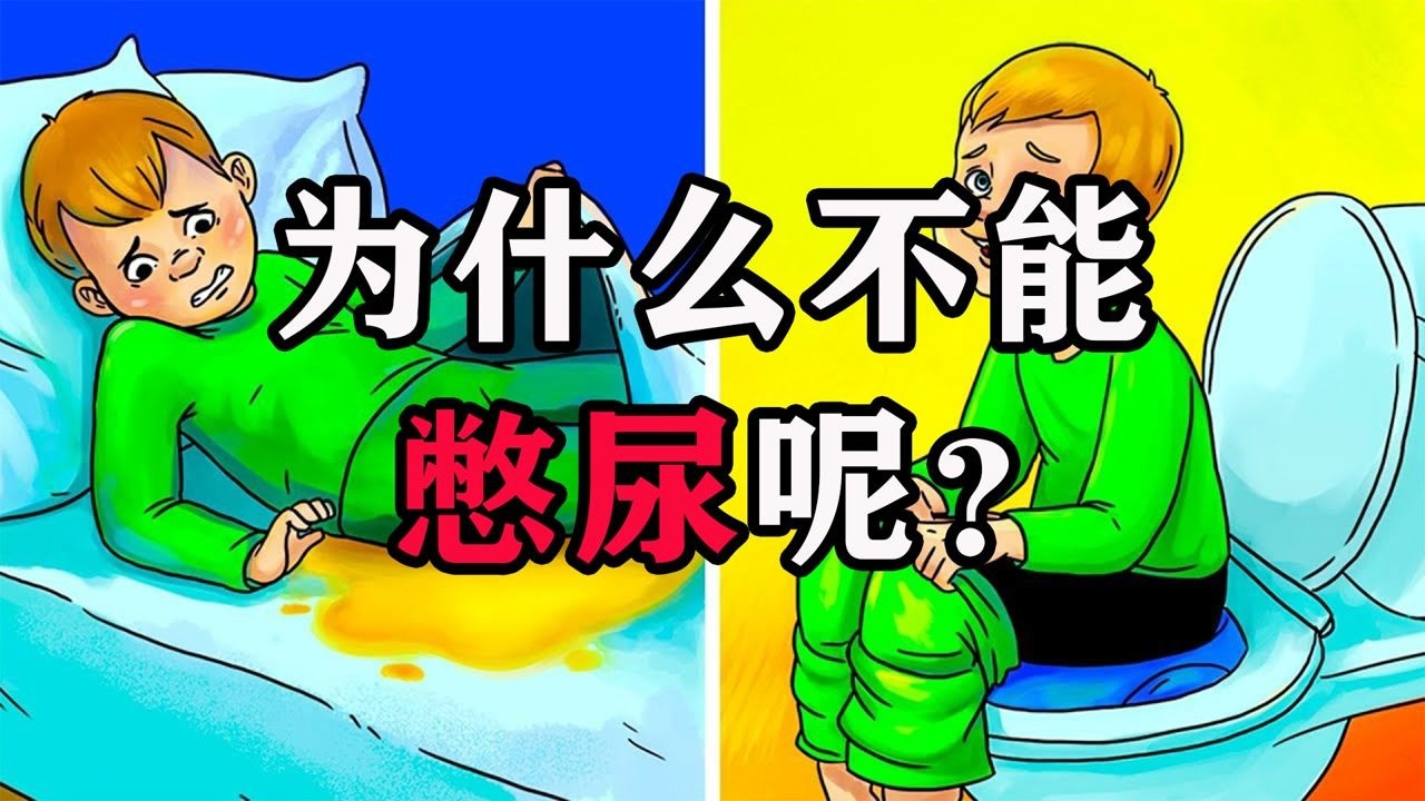 憋尿的后果居然这么严重!动画演示原理,看完不敢憋着了!