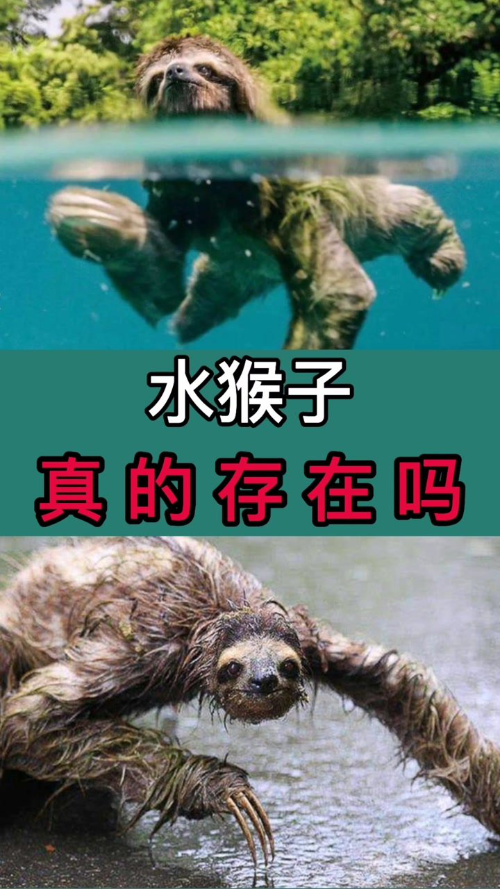 水猴子真的存在吗