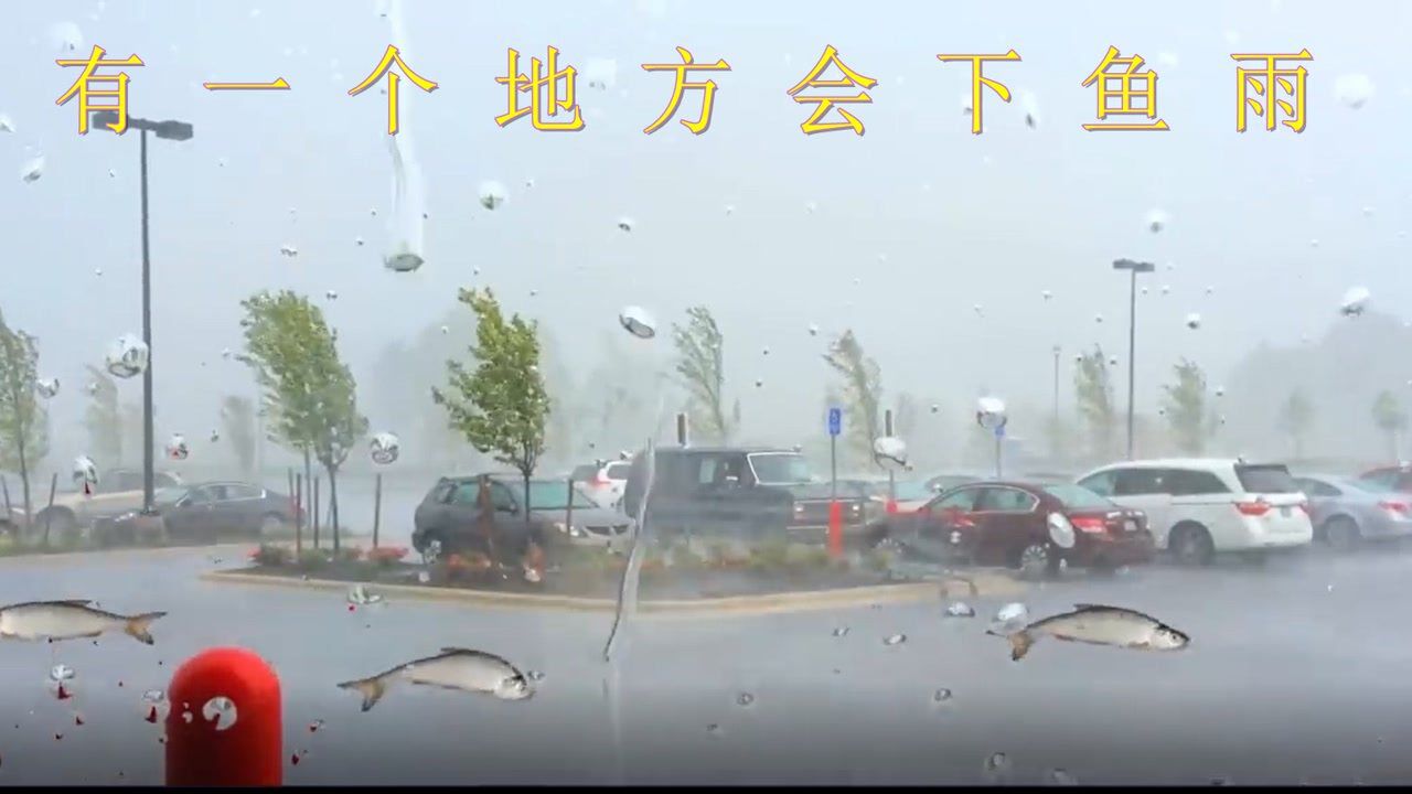 世间你知道或者不知道的事情_有地方会下鱼雨,不可以思议吧,一年一次#知识π计划-知识抢先知#_高清1080P在线观看平台_腾讯视频