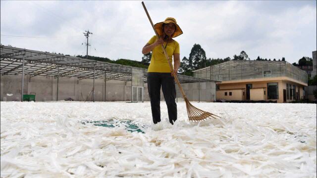 山里农村一工厂年加工羽毛8000万片,生意却做到东京奥运会赛场