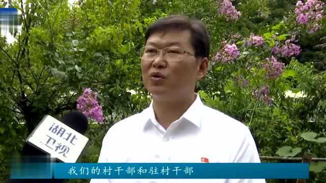 《有呼必应无事不扰 甘当服务企业的店小二》恩施州推动“整村授信”助力乡村产业发展