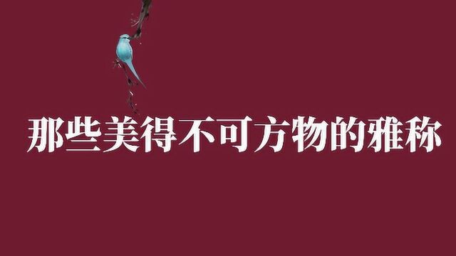 【中国式浪漫】盘点那些美得不可方物的雅称 || 文学素材积累#知识Š计划知识抢先知#