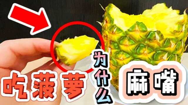 为什么菠萝吃起来麻嘴?看完原因后,网友:不敢多吃!#知识ˆ’知识抢先知#