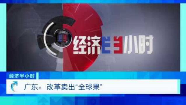 广东:变革卖出“全球果”