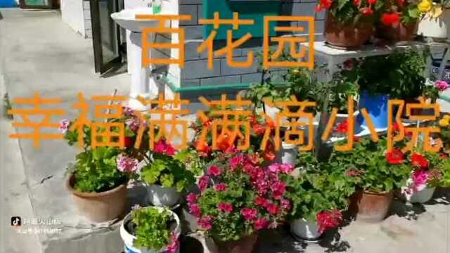 百花园似的庭院