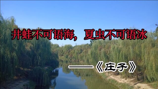 《庄子》名言赏析:井蛙不可语海,夏虫不可语冰