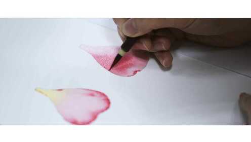 2.入门水彩绘画：凋落的玫瑰花瓣