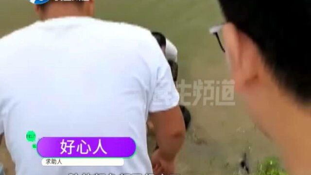 河南郑州:见人落水,男子拿起竹竿就冲下去救人,全网寻找好心人