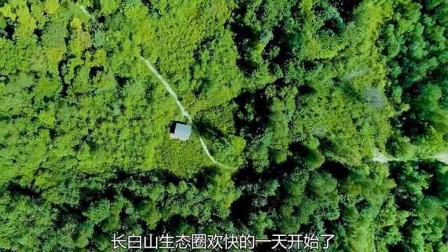 守护“十年”之约,更要守护好山、好水!%恒大冰泉