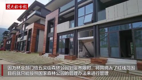 建设用地与森林红线“打架”，湖南岳阳一亿元级楼盘被停工