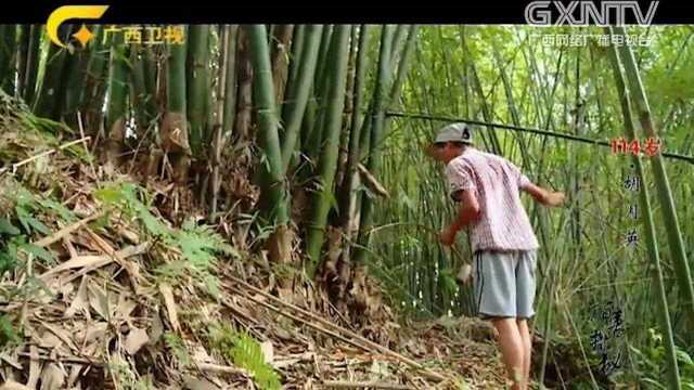 孙子进山为114岁奶奶寻“神仙肉”,大山里的“神仙肉”竟是它