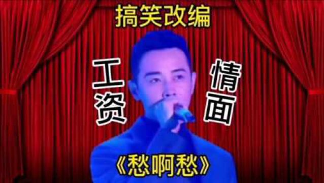 搞笑改编歌曲《愁啊愁》:工资她全部给拿走,一点情面不给留