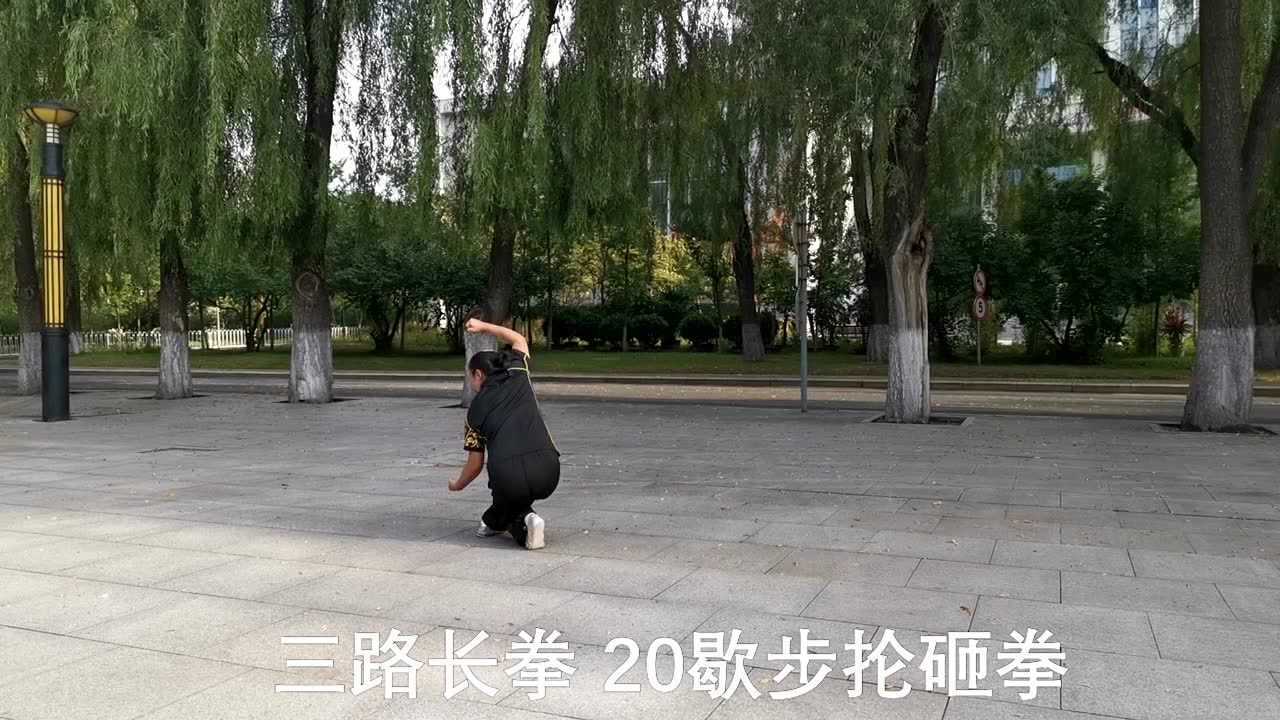 三路长拳第三段-20.歇步抡砸拳传统风格中国武术七段杨春蓉_高清1080P在线观看平台_腾讯视频