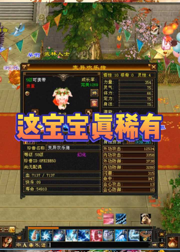 天龙八部怀旧服这宝宝真稀有