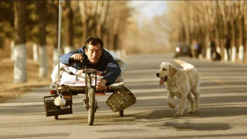 狗狗给残疾人当了十几年车夫，最后4000元被贱卖，这电影太好哭了