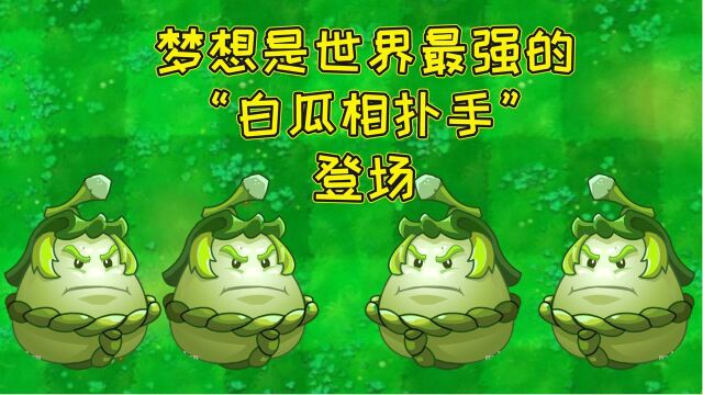 植物大战僵尸:壮实的白瓜相扑手,把僵尸撞出3格远