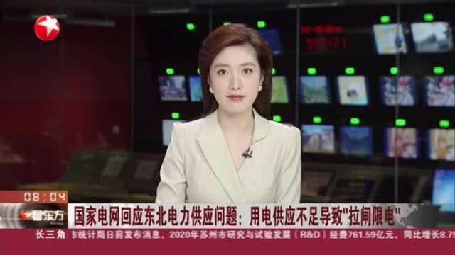 国家电网回应东北电力供应问题:用电供应不足导致“拉闸限电”