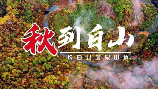 看 ⷠ白山丨秋到白山