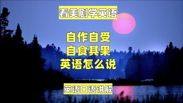 看美剧学英语:自作自受英语怎么说?英语口语,英语听力,谚语