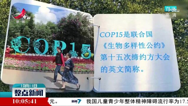 关于COP 你了解多少