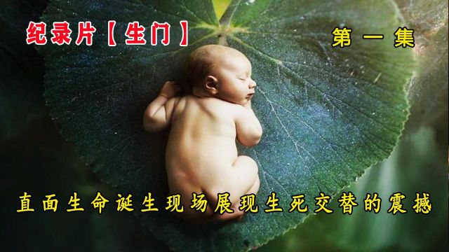 【纪录片】生门第1集!直面生命诞生的现场,展现生死交替的震撼!