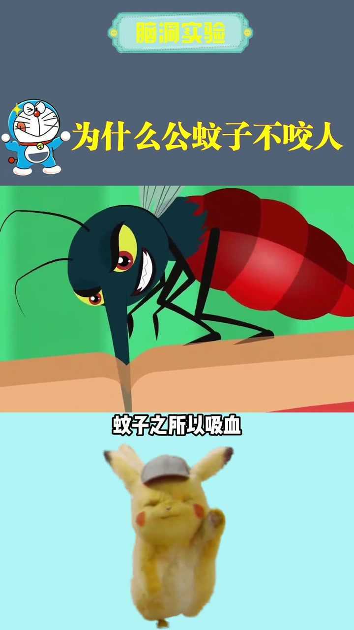 你知道为什么公蚊子不咬人吗