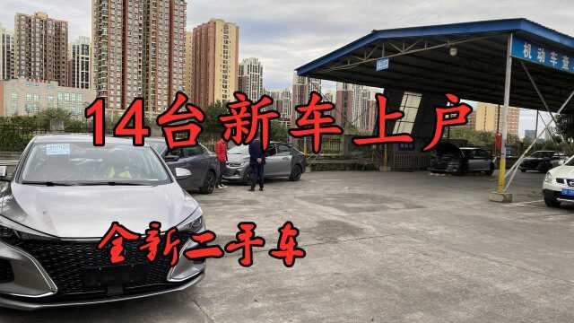 14台新车上户,全新二手车!苦逼的汽车销售,有忙不完的事