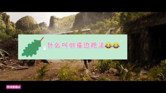 影视:速度与激情