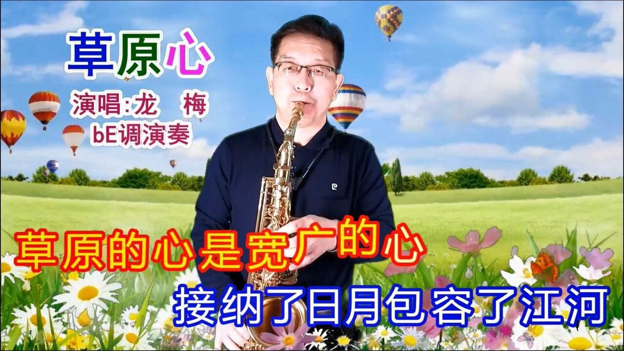 龙梅演唱的草原心旋律优美深情好听