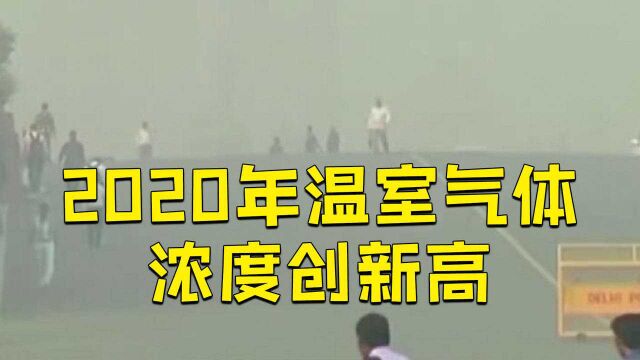 联合国气象机构称2020年温室气体浓度再创新高