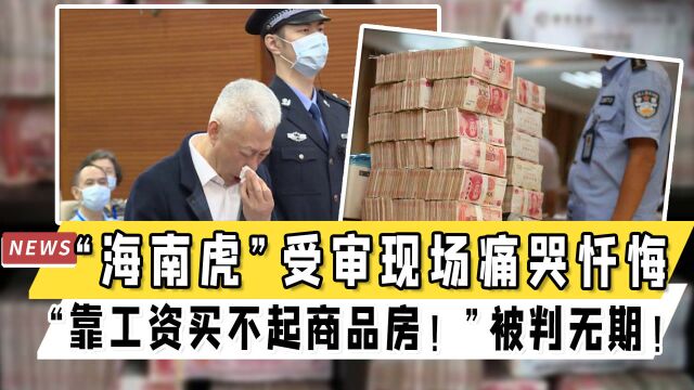 “海南虎”受审现场痛哭忏悔,“靠工资买不起商品房!”被判无期!