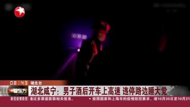 湖北咸宁:男子酒后开车上高速 违停路边睡大觉