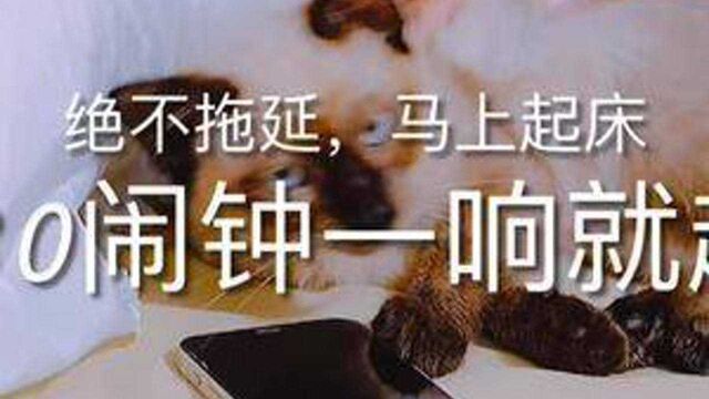 挑战衡水中学作息时间表 #暑假 #学习打卡