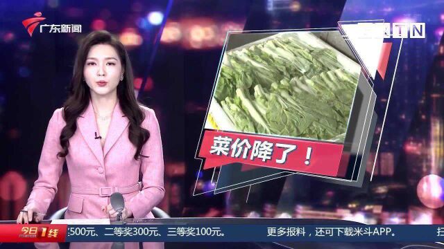 保供稳价 菜价降了!广州11月菜价还将继续回落